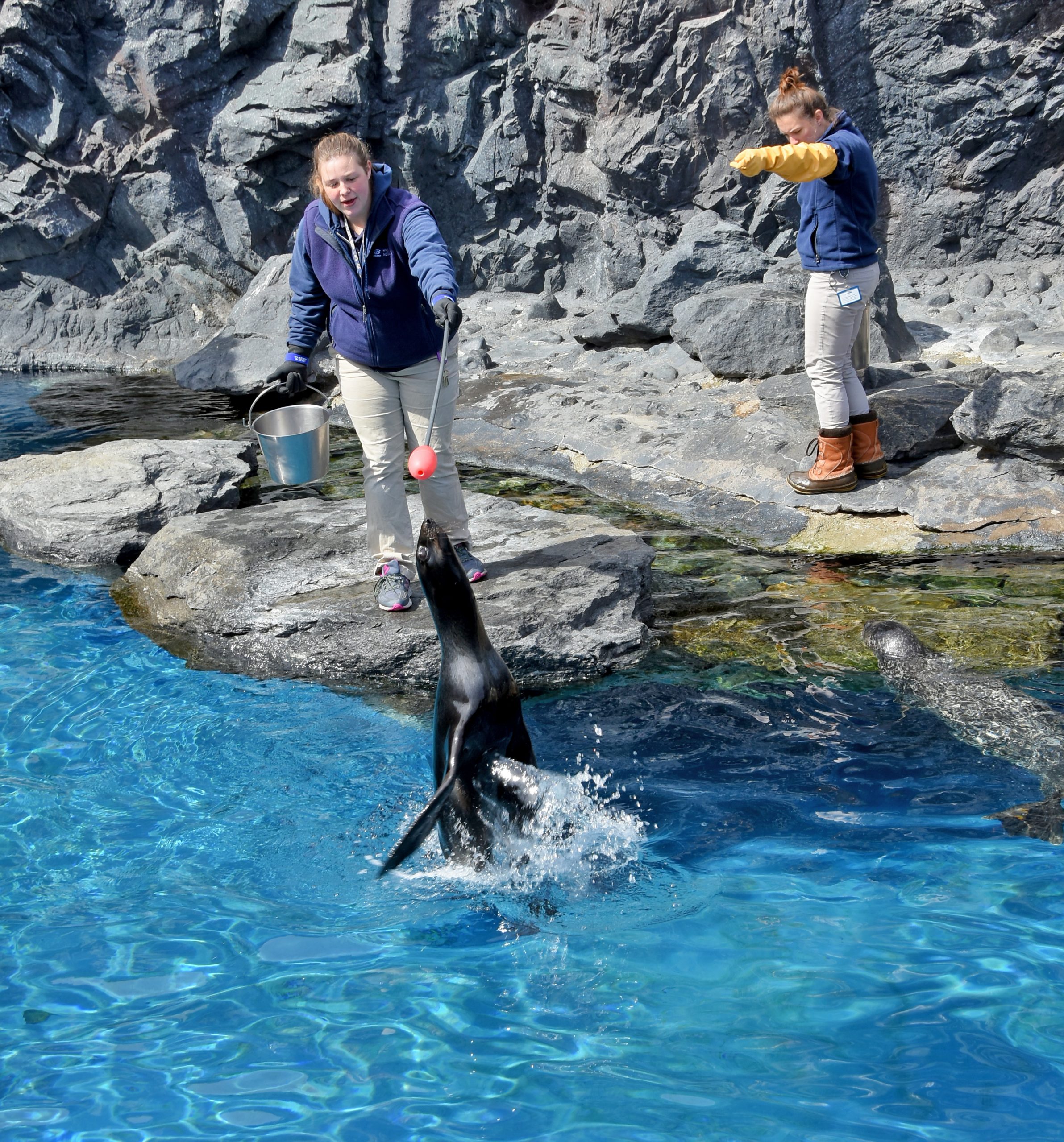 Aquarium Careers Bergen Community College