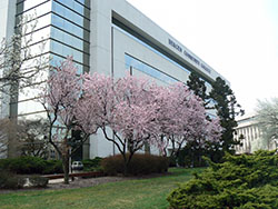 Still Time to Register for Fall Semester at Bergen