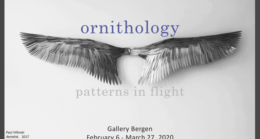 Ornithology: Patterns in Flight