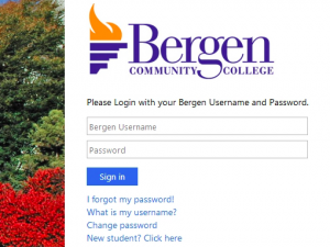 A screenshot of what the Portal login page looks like