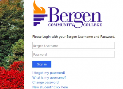 A screenshot of what the Portal login page looks like