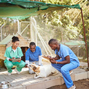 group of diverse medical professionals taking care of a dog
